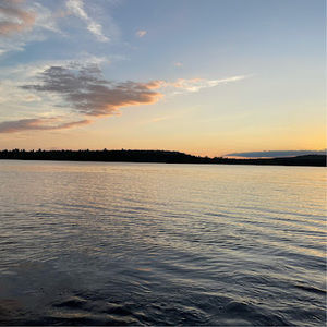 Meet your Posher, Carinne